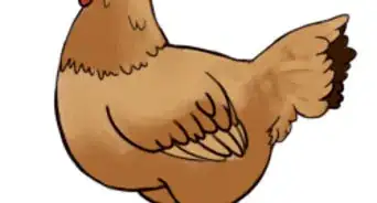 Draw a Chicken