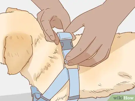 Image titled Put on a Dog Harness Step 5