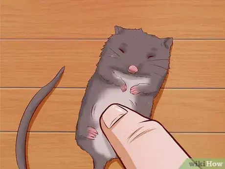 Image titled Care for Baby Mice Step 8