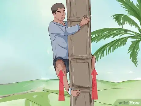 Image titled Climb a Coconut Tree Step 7