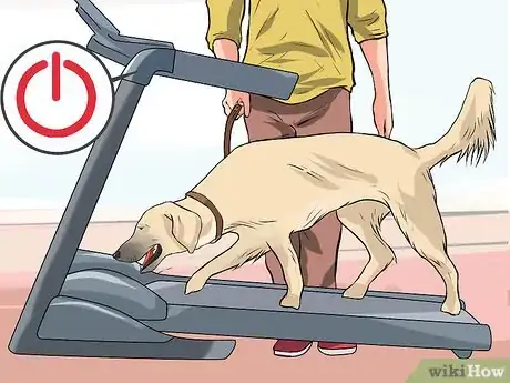 Image titled Get a Dog to Use a Treadmill Step 3