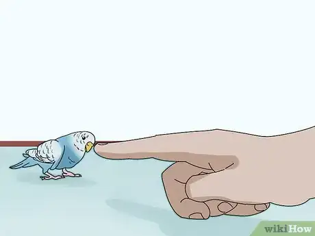 Image titled Stop a Parakeet from Biting Step 8