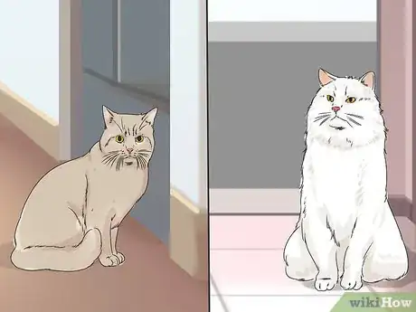 Image titled Change Your Cat's Routine Step 4