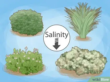 Image titled Reduce Salinity in Soil Step 11