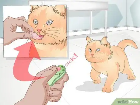 Image titled Teach Your Cat to Give a Handshake Step 4