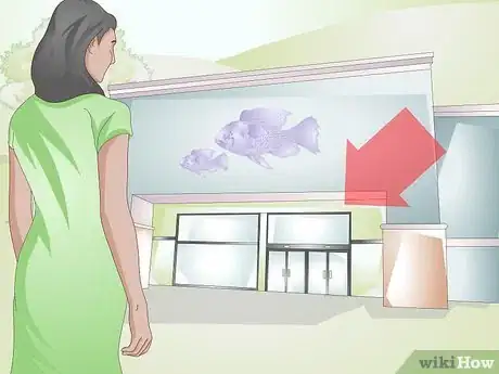 Image titled Pick a Betta Fish Step 1