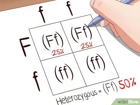 Image titled Make a Punnett Square Step 7