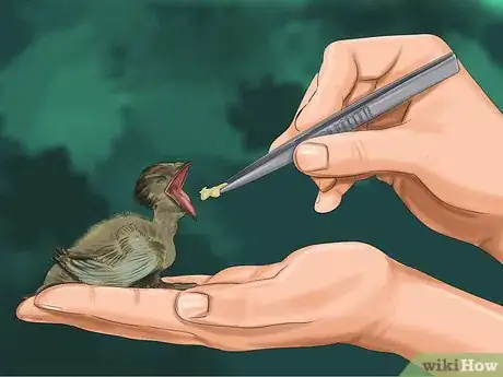 Image titled Make Baby Bird Rescue Food Step 14