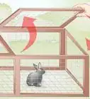 Build a Rabbit Run