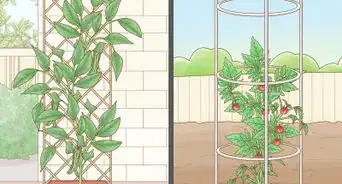 Grow Vegetables Vertically