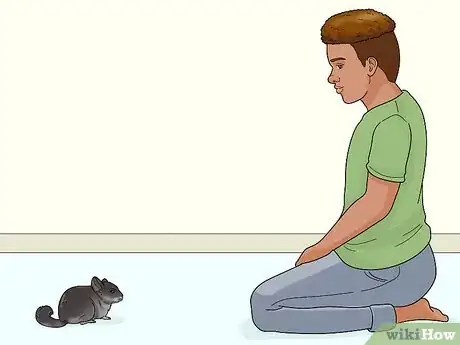 Image titled Catch a Chinchilla Step 6