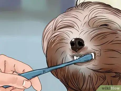 Image titled Groom a Yorkshire Terrier Step 11