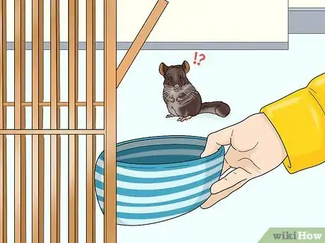 Image titled Catch a Chinchilla Step 2