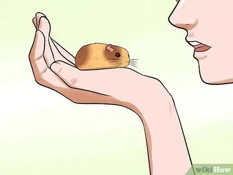 Image titled Handle a Hamster Without Being Bitten Step 7