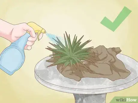 Image titled Grow a Plant Without Soil Step 11