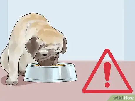 Image titled Treat Digestive Problems in a Dog You Just Adopted Step 3