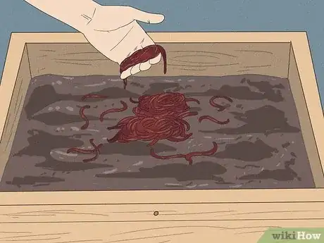 Image titled Prepare Vermicompost Step 12