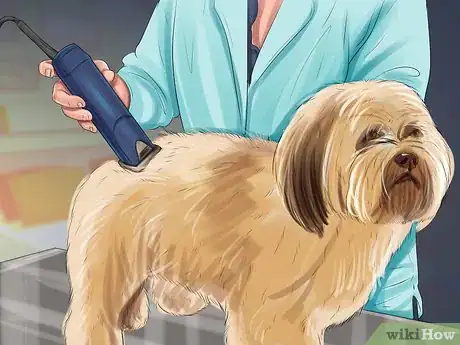 Image titled Puppy Cut a Shih Tzu Step 11