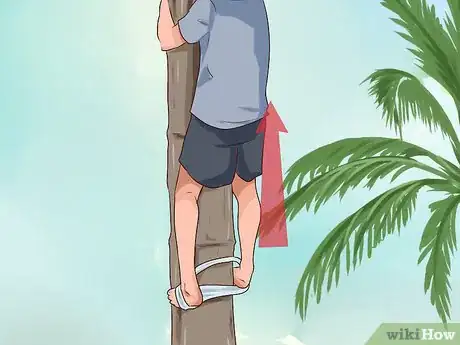 Image titled Climb a Coconut Tree Step 8