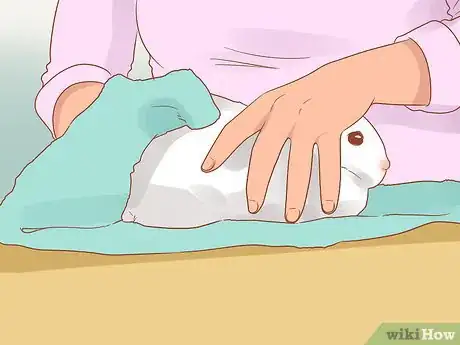 Image titled Stop a Rabbit from Smelling Step 3