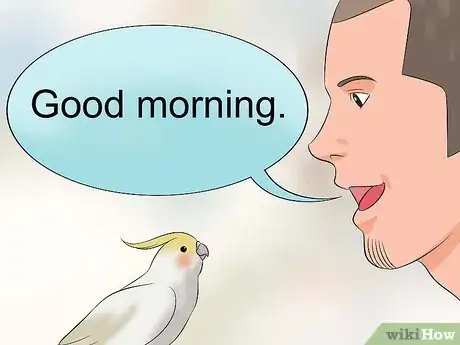 Image titled Train a Cockatiel to Talk Step 5