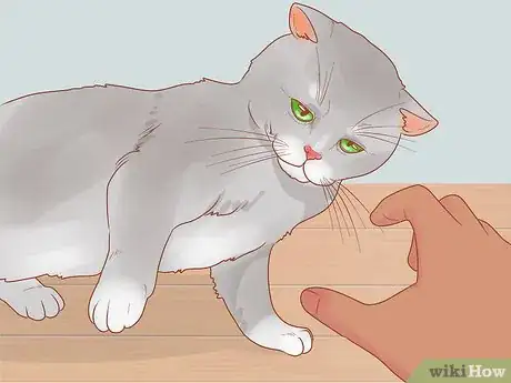 Image titled Train a Therapy Cat Step 10