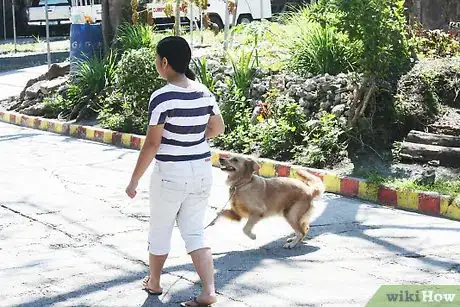 Image titled Control Your Dog's Behavior by Becoming Pack Leader Step 8