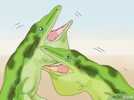 Image titled Determine the Sex of a Green Anole Step 5