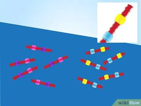 Image titled Make a Model of DNA Using Common Materials Step 12