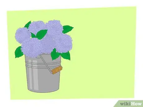 Image titled Dry Hydrangeas Step 1