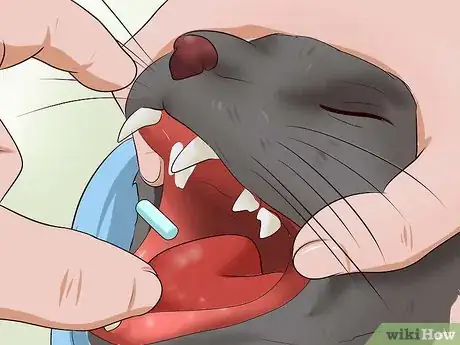 Image titled Give a Cat a Pill Step 17