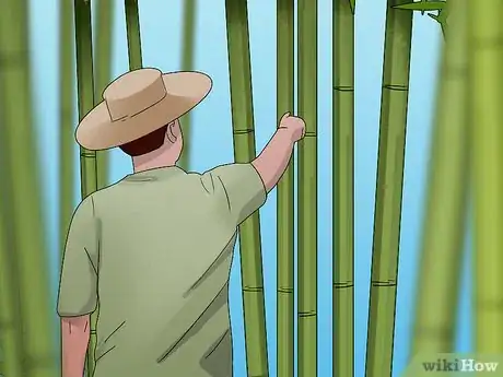 Image titled Cure Bamboo Step 1