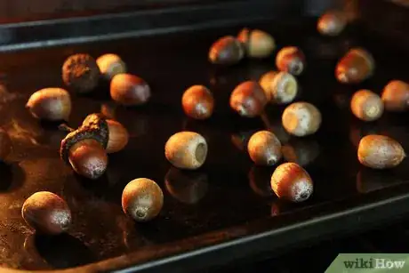 Image titled Dry Acorns for Crafts Step 4