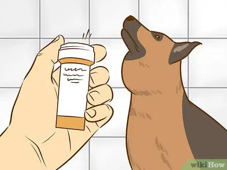 Image titled Recognize and Treat Salivary Mucocele in Dogs Step 11