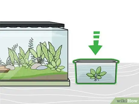 Image titled Grow Freshwater Aquarium Plants Step 7