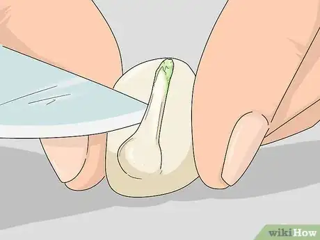 Image titled Know if Garlic Is Bad Step 5