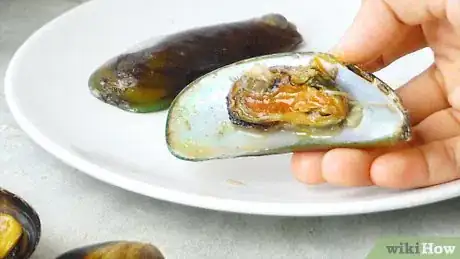 Image titled Eat Mussels Step 6