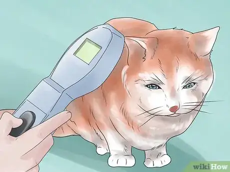 Image titled Inject a Microchip Into a Pet Step 11