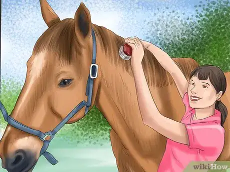 Image titled Know if You Have What It Takes to Own a Horse Step 6