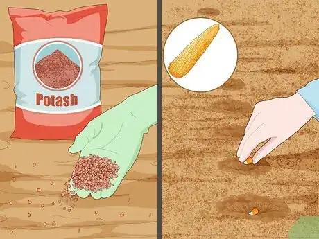 Image titled Use Potash Step 10