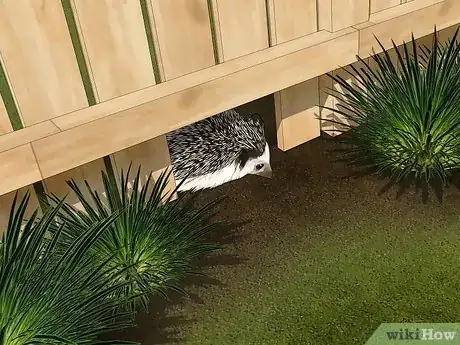 Image titled Encourage Hedgehogs to Your Garden Step 1