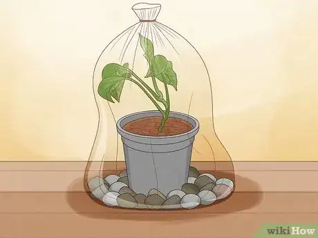 Image titled Propagate Your Plants Step 11