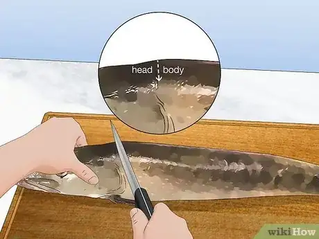 Image titled Clean and Fillet a Northern Pike Step 1