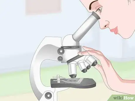 Image titled Clean Microscope Lenses Step 11