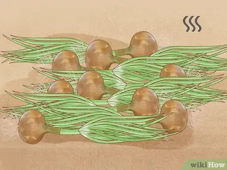 Image titled Plant Sprouted Onions Step 11