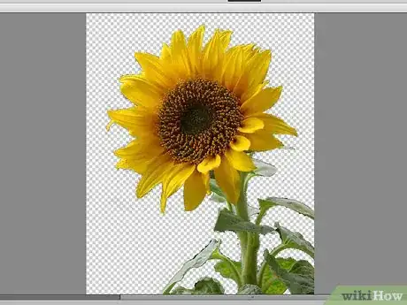 Image titled Remove Background With Photoshop Elements Step 17