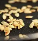 Shell Pumpkin Seeds