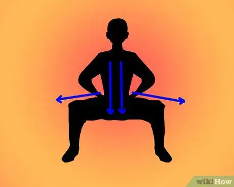 Image titled Do the Horse Stance in Kung Fu Step 3