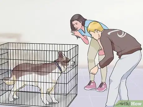 Image titled Introduce a New Dog to Visitors Step 14