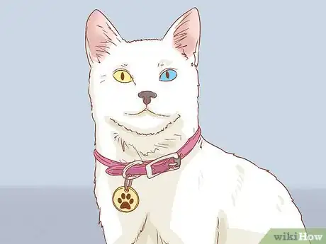 Image titled Help a Deaf Cat Step 2